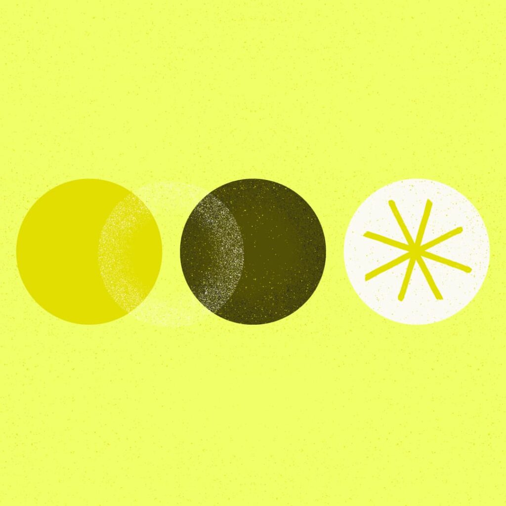 An illustration of three circles, one highlighted with a star shape.